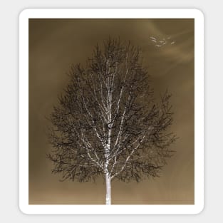 Winter Tree In Muted Tones Sticker